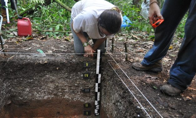 Archaeology in Amazonia