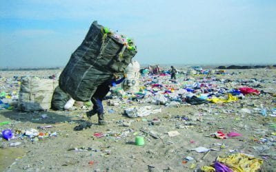 Living off Trash in Latin America