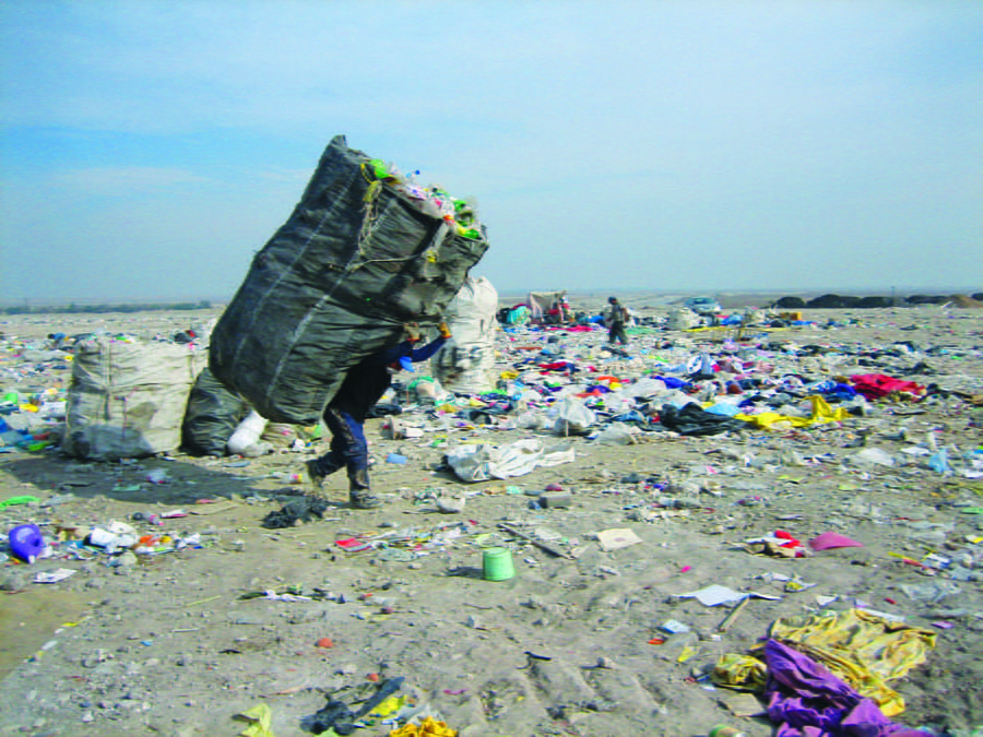 Living off Trash in Latin America
