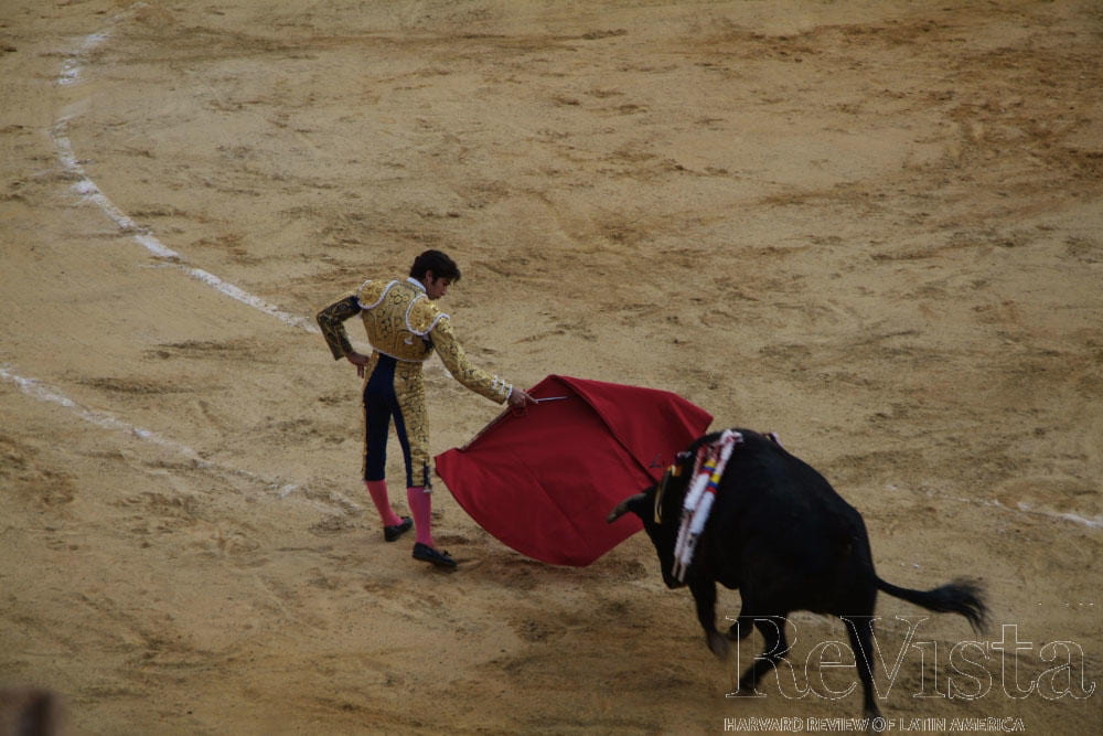 Bullfights