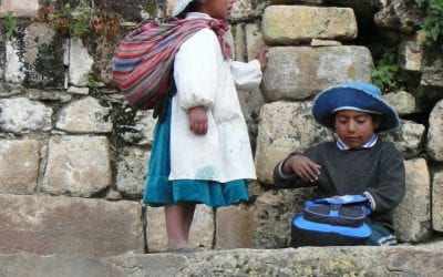 The New Bolivian Education Law
