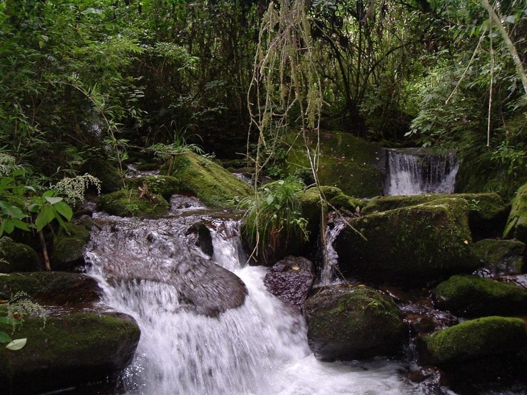 Photo of a small stream inside Amboro National Park, which feeds the Los Negros River and provide important irrigation water.