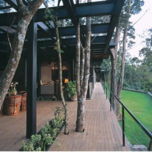 Deck and backyard of a large, modern house. Steel beams support the house, deck, and roof. The deck has holes to allow trees to grow through.