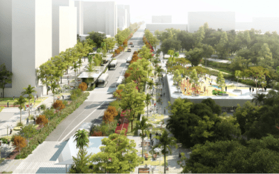 The Transformation of Carrera Séptima into Bogotá’s first Green Corridor