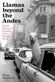 A Review of Llamas beyond the Andes: Untold Histories of Camelids in the Modern World